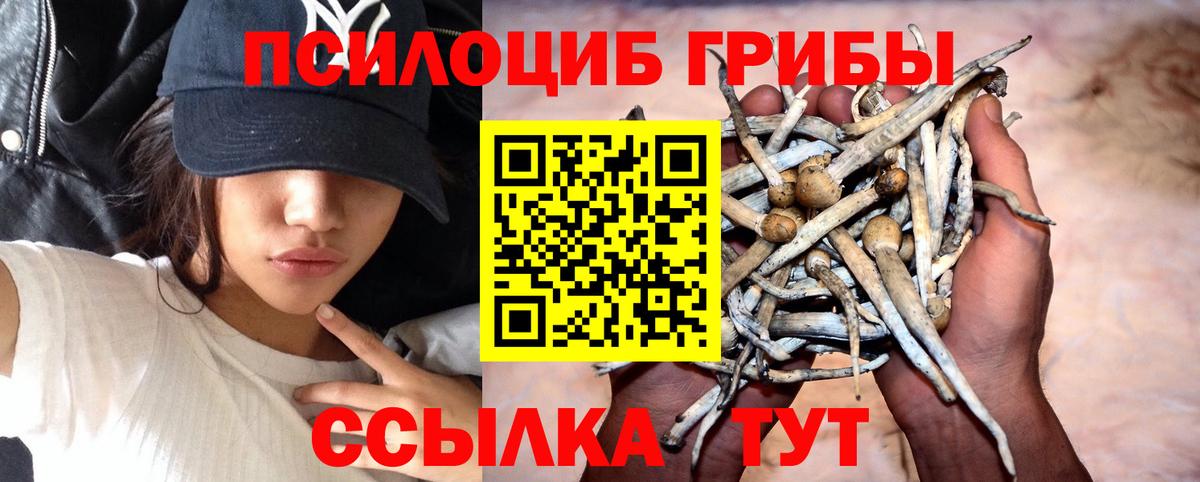 Гагарин  Галлюциногенные грибы мухоморы  Вход с VPN  Псилоцибиновые грибы Psilocybe 