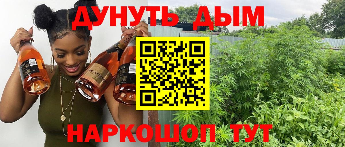 Каннабис OG Kush Гагарин
